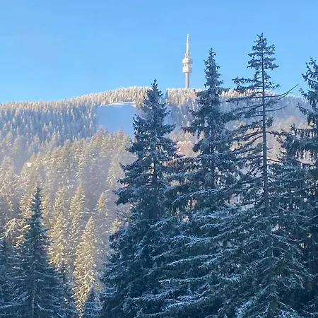 Nevada 3* 潘波洛沃