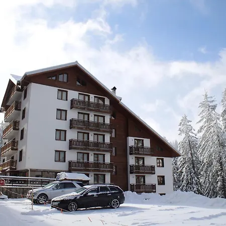 Nevada Пампорово