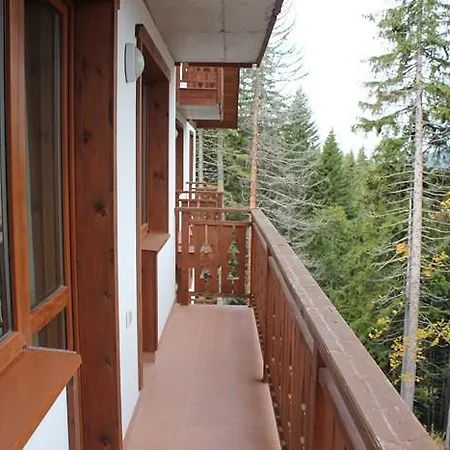 Nevada 4*
